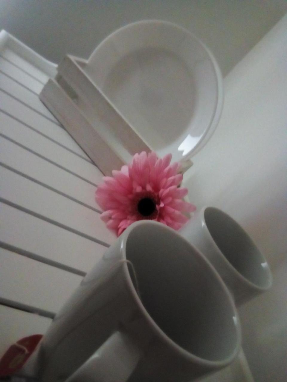 Bed and Breakfast Officina Urban Sleep San Benedetto del Tronto Exterior foto