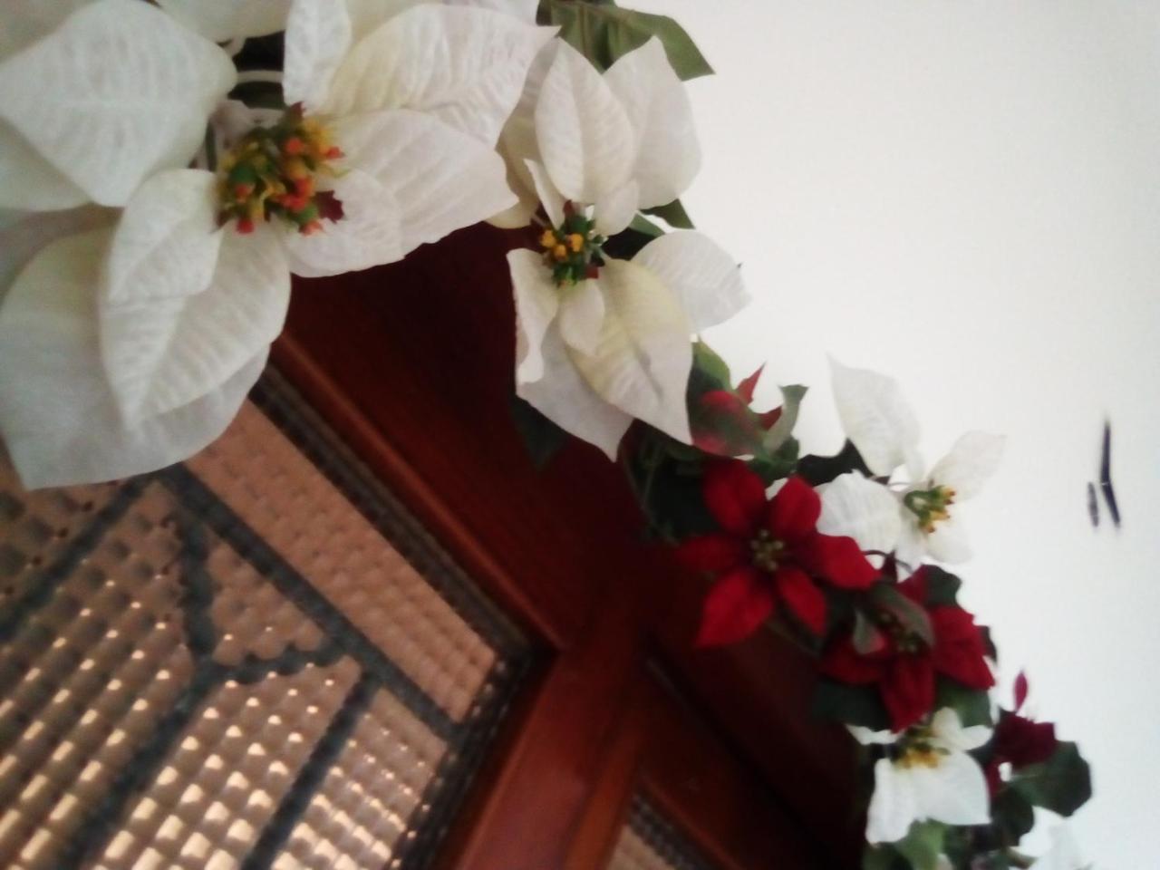 Bed and Breakfast Officina Urban Sleep San Benedetto del Tronto Exterior foto