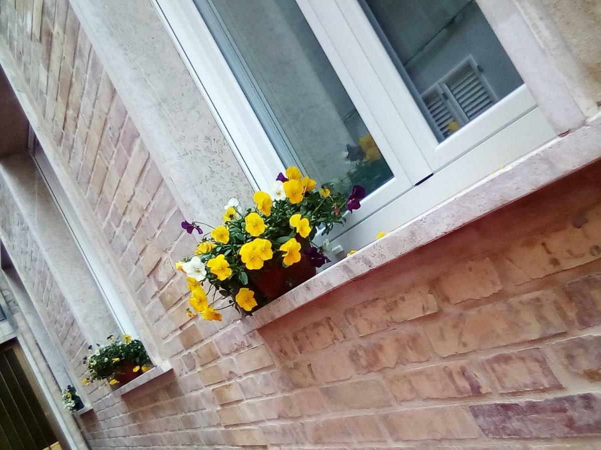 Bed and Breakfast Officina Urban Sleep San Benedetto del Tronto Exterior foto